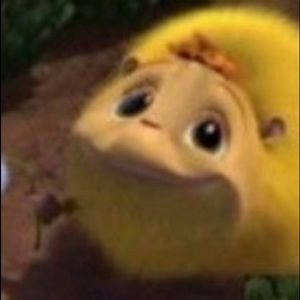 Meet your Posher, Ty